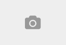Demi Rose’s Most Stunning Photos Yet – You Won’t Believe Number 5!